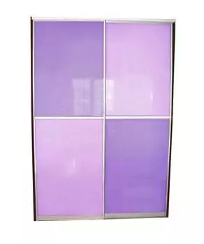 Шкаф-купе Респект-9