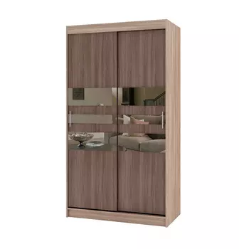 Шкаф-купе Риф-2 вариант 6