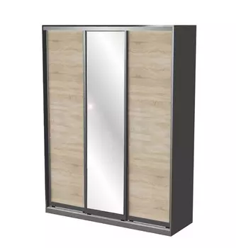 Шкаф-купе Севил 3