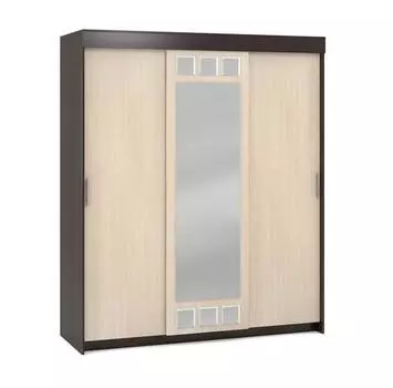 Шкаф-купе ШК-2 с зеркалом