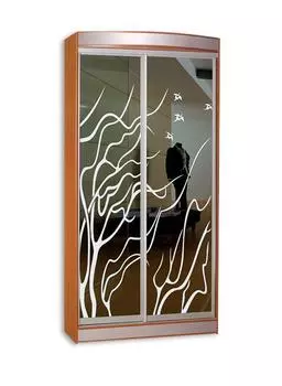 Шкаф-купе Стиль 1-11