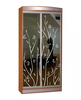 Шкаф-купе Стиль 1-9