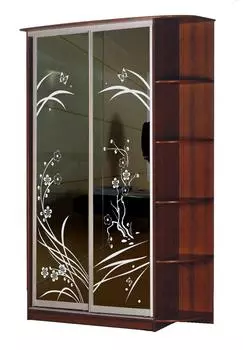 Шкаф-купе Стиль 2-10