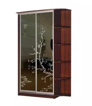 Шкаф-купе Стиль 2-2