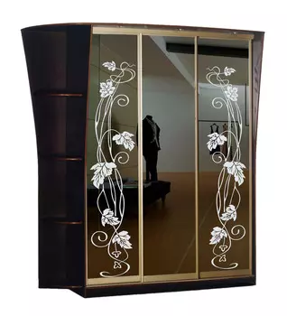 Шкаф-купе Стиль 3-14