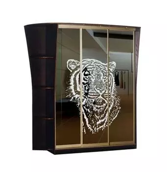 Шкаф-купе Стиль 3-16