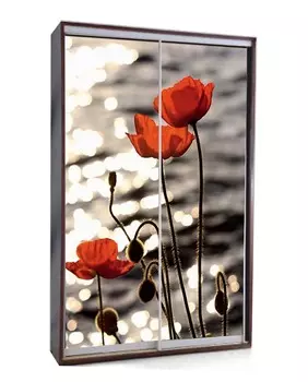 Шкаф-купе Титан-2-Ф Цветы