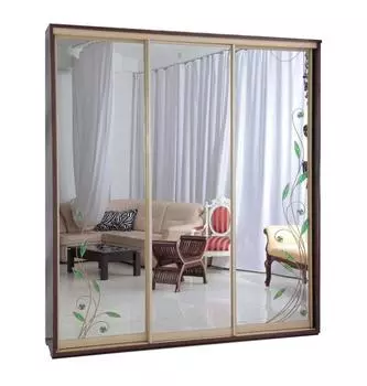 Шкаф-купе Титан-3