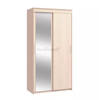 Шкаф-купе Топ-лайн Миллениум 2-ух дверный