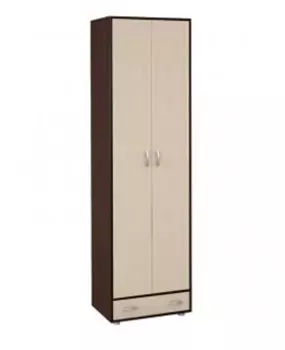 Шкаф платяной 2-х дверный с ящиками