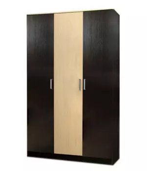 Шкаф распашной Лайт-3
