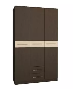 Шкаф распашной Ланс-4