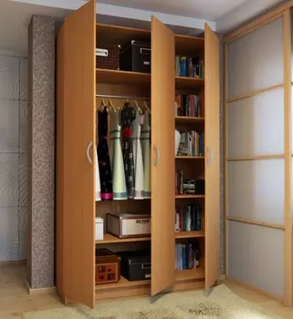 Шкаф распашной Милан ШРДМ 30