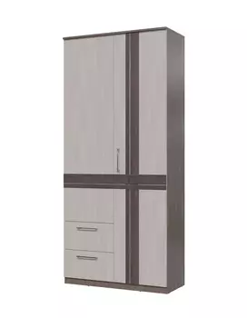 Шкаф распашной Презент 4-4819