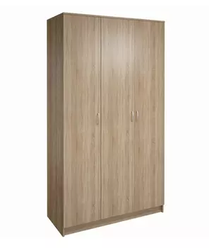 Шкаф распашной ШР-3-1
