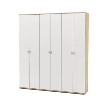 Шкаф распашной Тунис-9