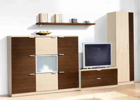 Стенка Тануки-8