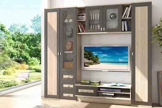 Гостиная Аурелия-02 Дуб Феррара/Дуб Сонома