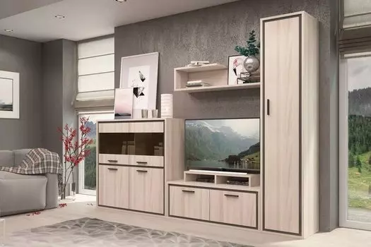 Гостиная Мемфис-02 Ясень шимо светлый