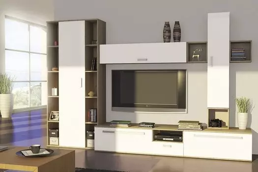 Гостиная Рио-02 Белый глянец /Дуб сонома