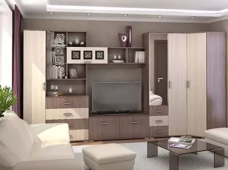 Гостиная Рошель-02 Ясень шимо тёмный-светлый