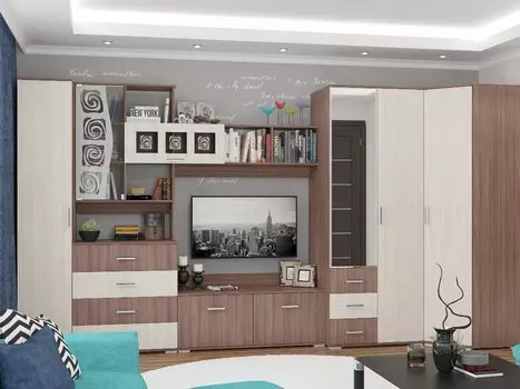 Гостиная Рошель-04 Ясень шимо темный/светлый