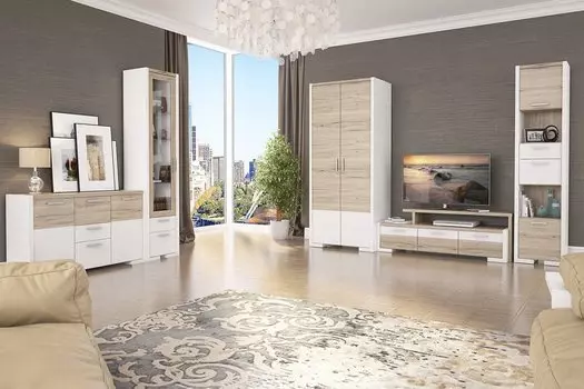 Гостиная Венето-02 Дуб санремо/ Белый