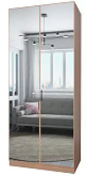 Шкаф 2-дв. Trend-20 с зеркалом | 100 см