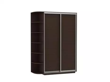 Шкаф-купе D2-04 Черное дерево глубина 450 мм