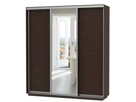 Шкаф-купе D3-02 Черное дерево глубиной 600 мм