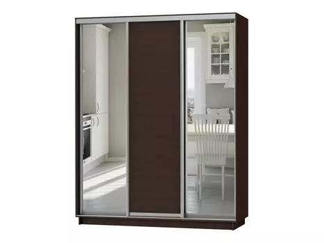 Шкаф-купе D3-03 Черное дерево глубиной 600 мм