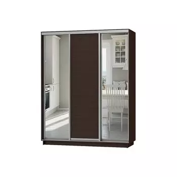 Шкаф-купе D3-03 Черное дерево глубиной 450 мм