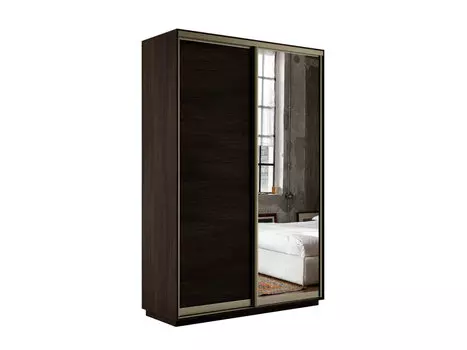 Шкаф-купе Экспресс Дуо120 Венге с зеркальным фасадом 600