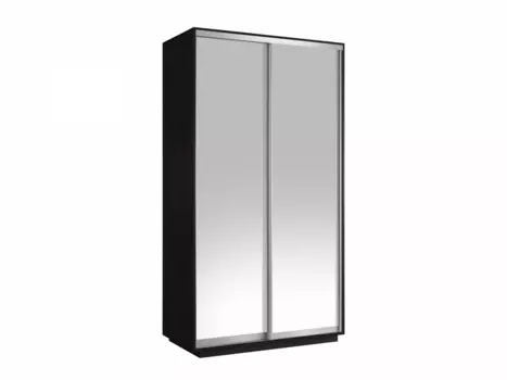 Шкаф-купе Хит (Зеркало) Венге 1200