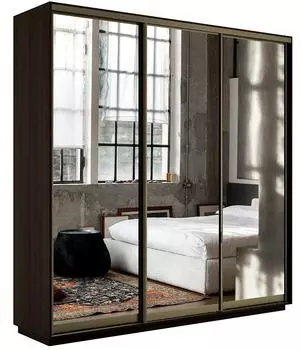 Шкаф-купе Экспресс Трио180 с зеркалом Венге 600