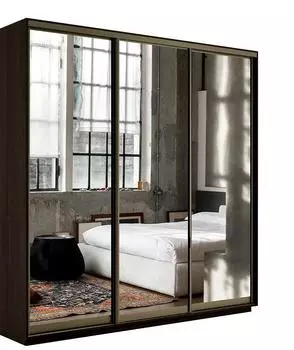 Шкаф-купе Экспресс Трио210 с зеркалом Венге 600