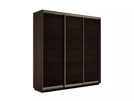 Шкаф-купе Экспресс Трио210 Венге