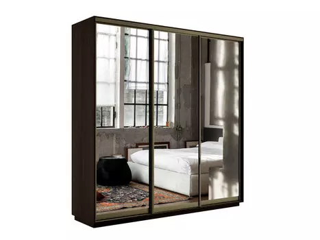 Шкаф-купе Экспресс Трио240 с зеркалом Венге