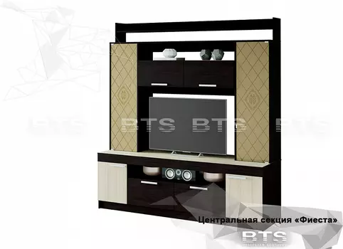 Центральная секция New Фиеста (БТС)