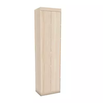 Двухстворчатый шкаф Ника Н2 (Заречье)