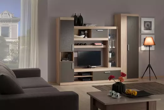 Модульная гостиная Макси (цвет на выбор) МЕБЕЛЬСОН