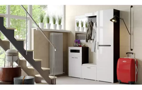 Модульная прихожая Фьюжн (Трия)