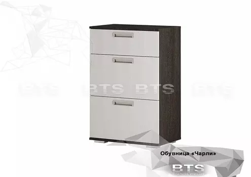 Обувница Чарли (БТС)