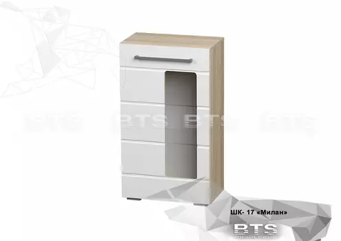 Пенал ШК-17 Милан (БТС)