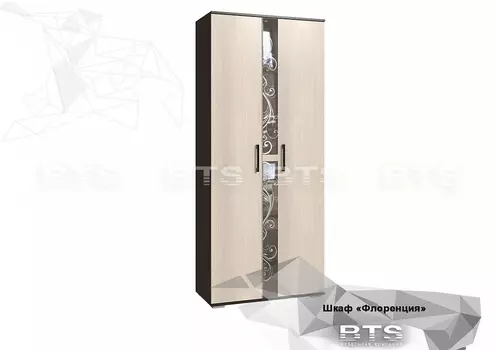 Шкаф Флоренция (БТС)