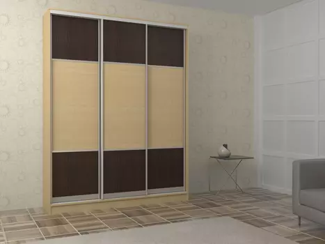 Шкаф-купе Адриано 3.1 (Баронс)