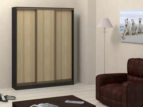 Шкаф-купе Адриано 3 (Баронс)