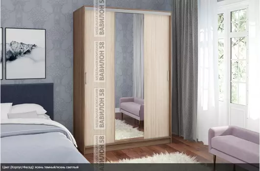 Шкаф-купе Альянс-2 (ВВ)