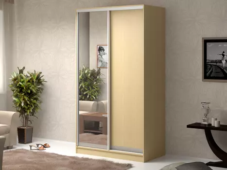 Шкаф-купе Антонио 2 (Баронс)