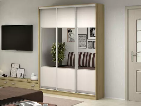 Шкаф-купе Антонио 3.1 (Баронс)